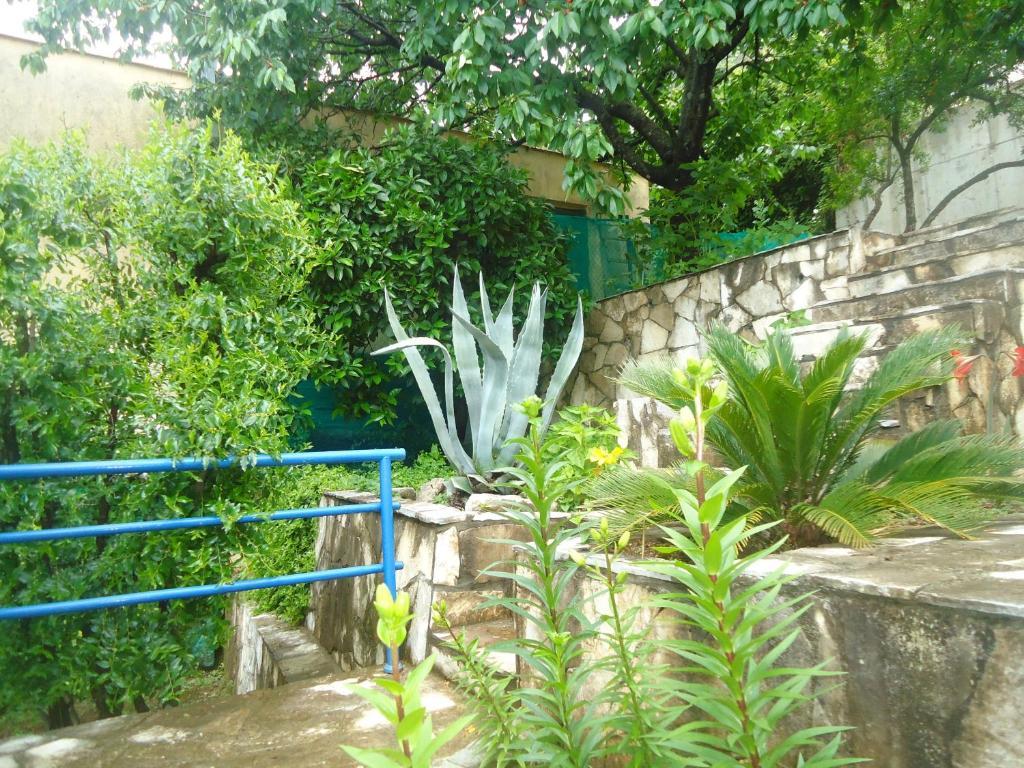 Apartments Villa Petranovic Budva Quarto foto