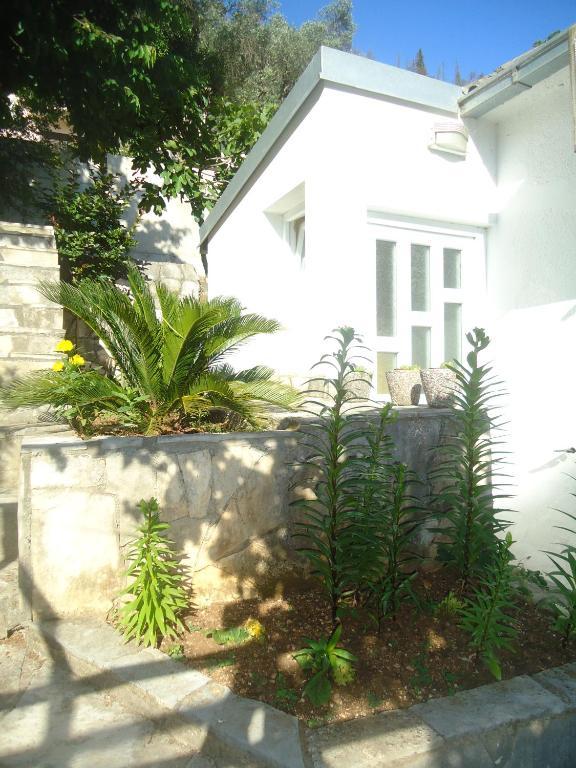 Apartments Villa Petranovic Budva Quarto foto