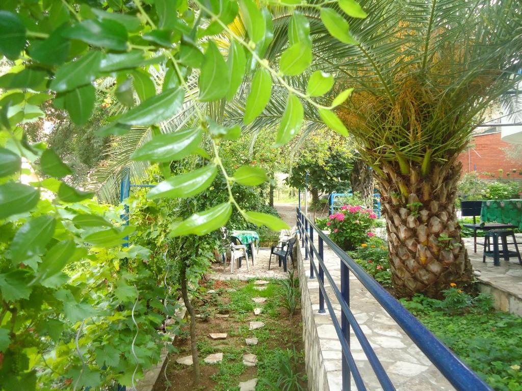 Apartments Villa Petranovic Budva Quarto foto